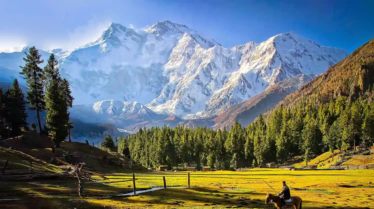 Fairy Meadows in Summer