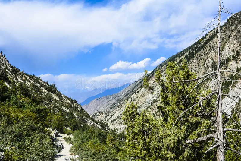 Fairy Meadows Also in Summer